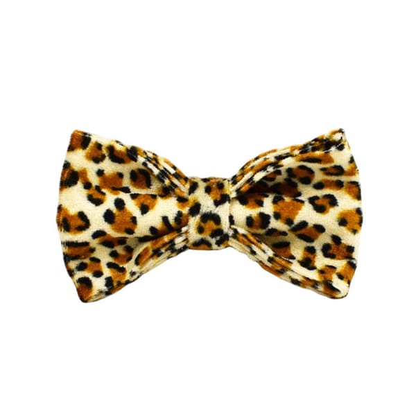 Leopard print bow tie on a white background