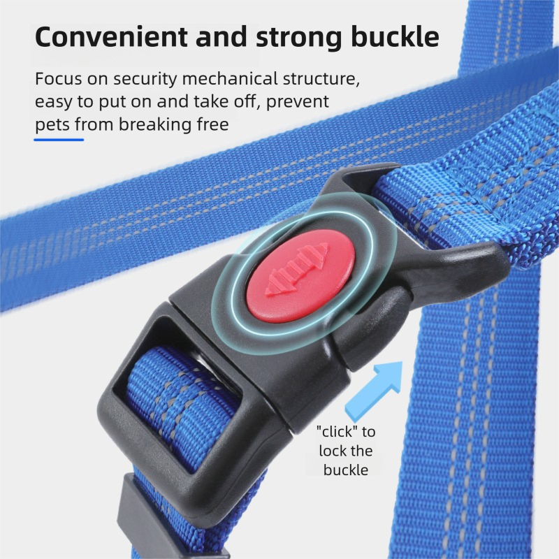 Blue dog leash with a red buckle and black metal clip on a white background.