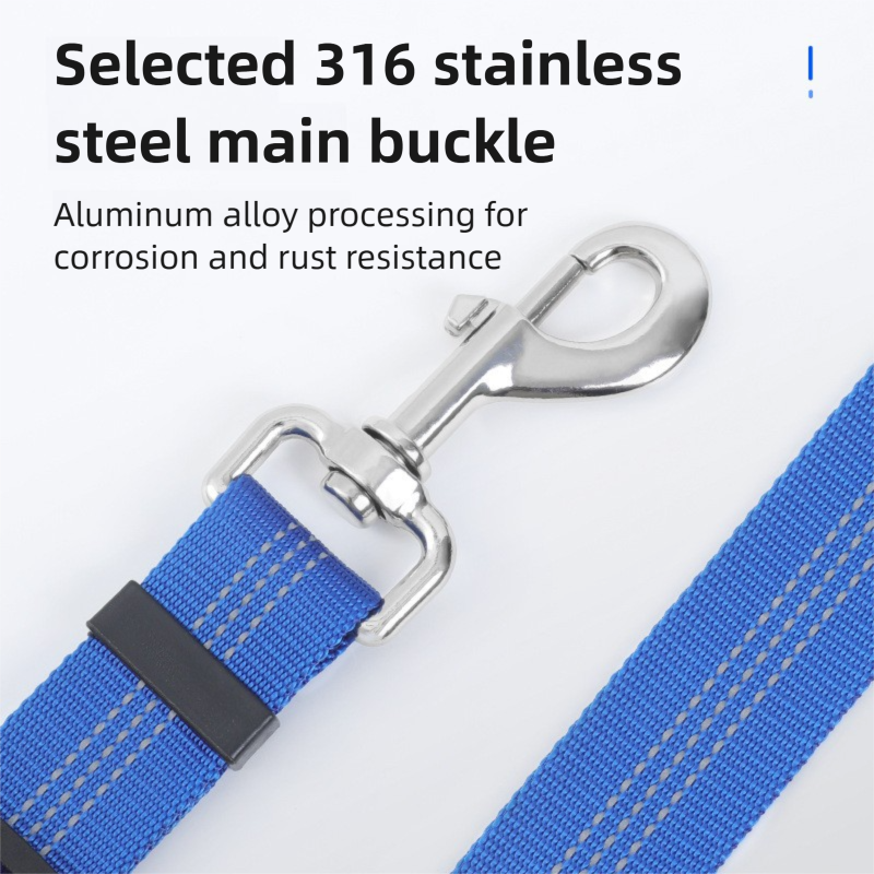 Blue strap with a silver 316 stainless steel main buckle on a white background