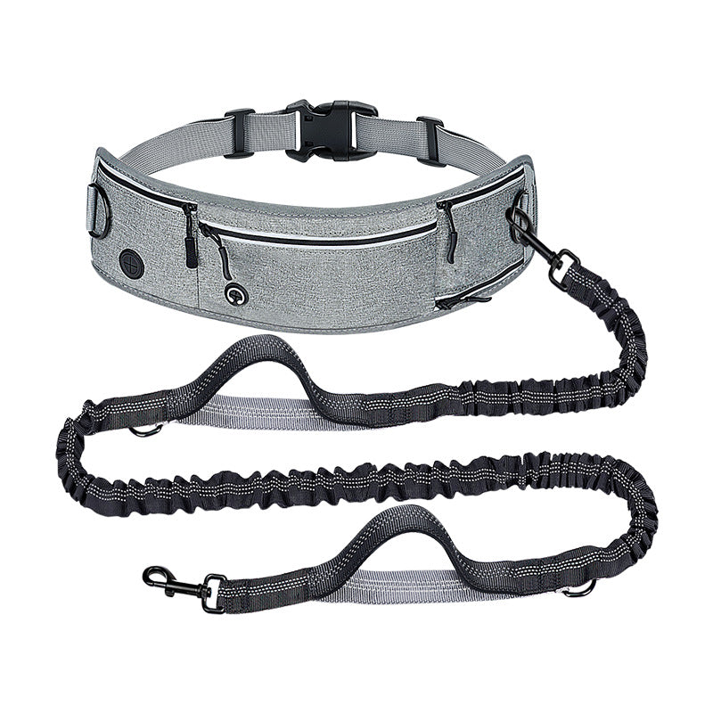 Gray dog collar with black leash on a white background