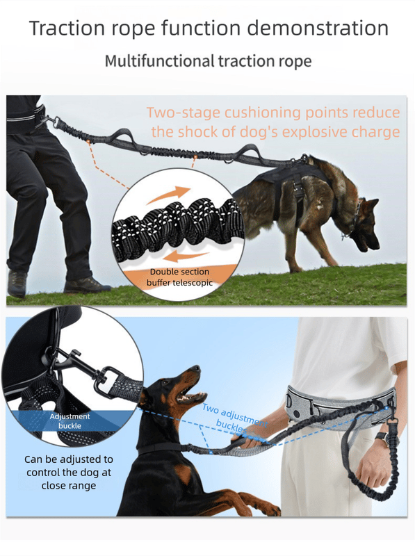 Multifunctional traction rope for dogs with demonstration of usage and features.