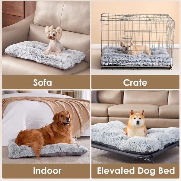 Collage of a dog using different types of pet beds including sofa, crate, indoor, and elevated bed.