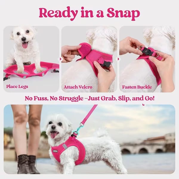 Step-by-step guide on how to put on a pink dog harness with a final image of a dog wearing the harness outdoors.