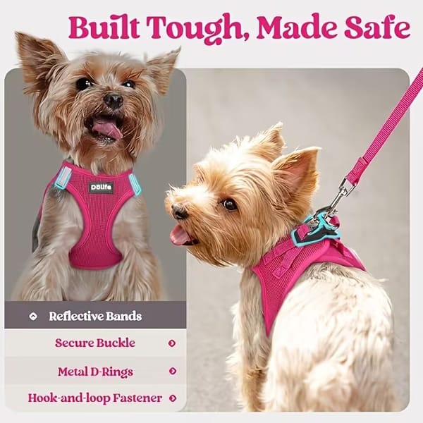 Two small dogs wearing pink dog harnesses with text highlighting features on a gray background.