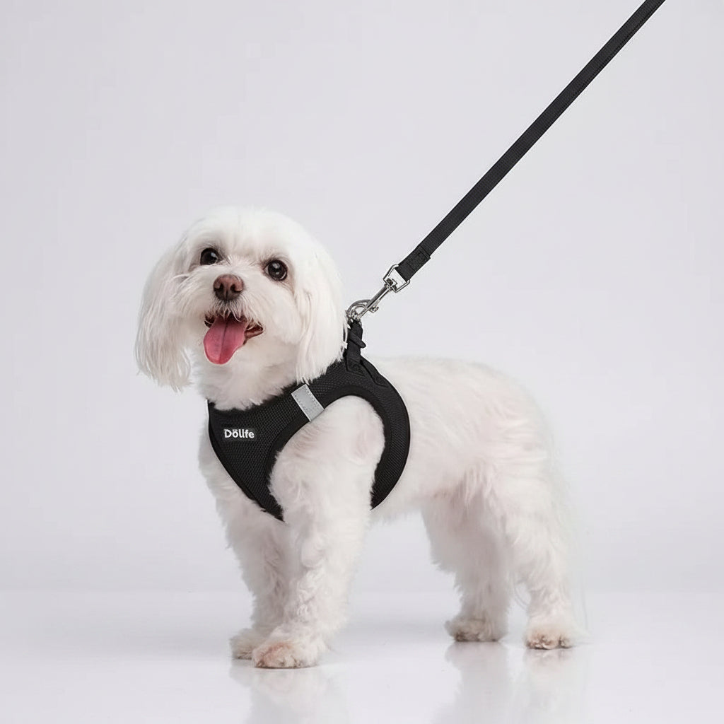 Black Breathable Dog Harness and Leash Set - Adjustable Reflective Pet Vest with Swivel Clip(Size: XL)