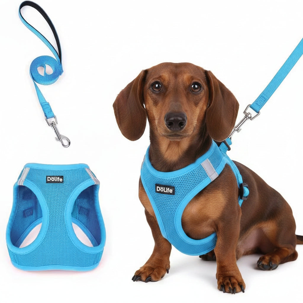 Blue Breathable Dog Harness and Leash Set - Adjustable Reflective Pet Vest with Swivel Clip(Size: L)