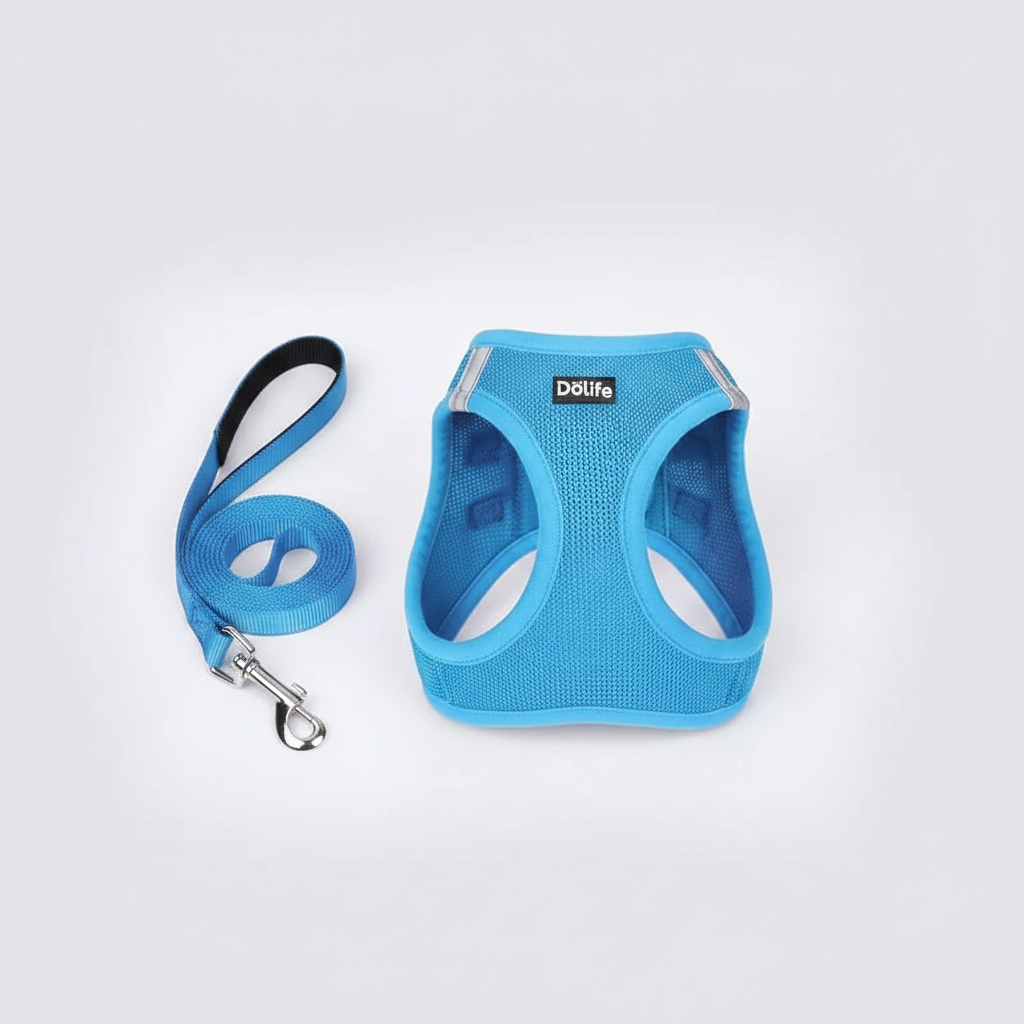 Blue dog harness and leash set on a white background