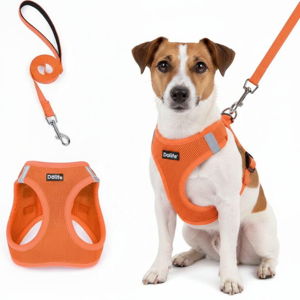 Orange Breathable Dog Harness and Leash Set - Adjustable Reflective Pet Vest with Swivel Clip(Size: S)