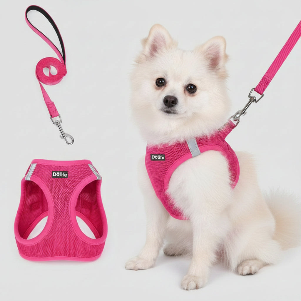 Rose red Breathable Dog Harness and Leash Set - Adjustable Reflective Pet Vest with Swivel Clip(Size: XL)