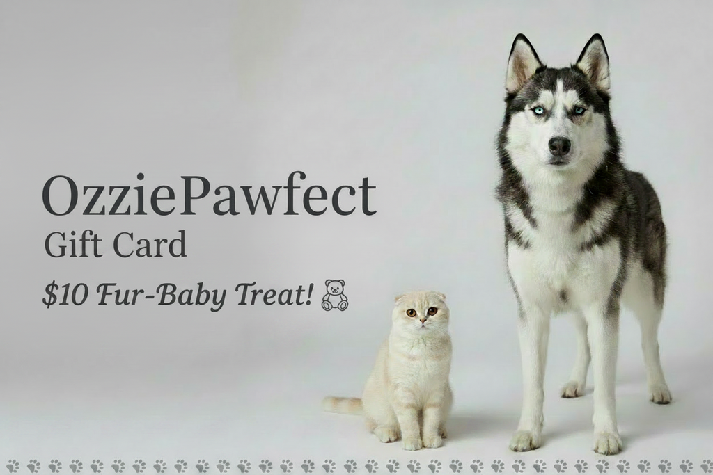 Dog and cat with 'OzziePawfect' gift card on a light gray background