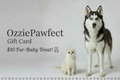 Dog and cat with 'OzziePawfect' gift card on a light gray background