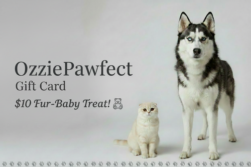 Dog and cat with 'OzziePawfect' gift card on a light gray background