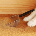 Kassikäpad litter scoop kõrval liival