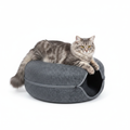 Cat lying on a gray pet bed with a white background
