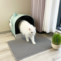 Cat exiting a light blue litter box on a gray mat with a plant in the background.